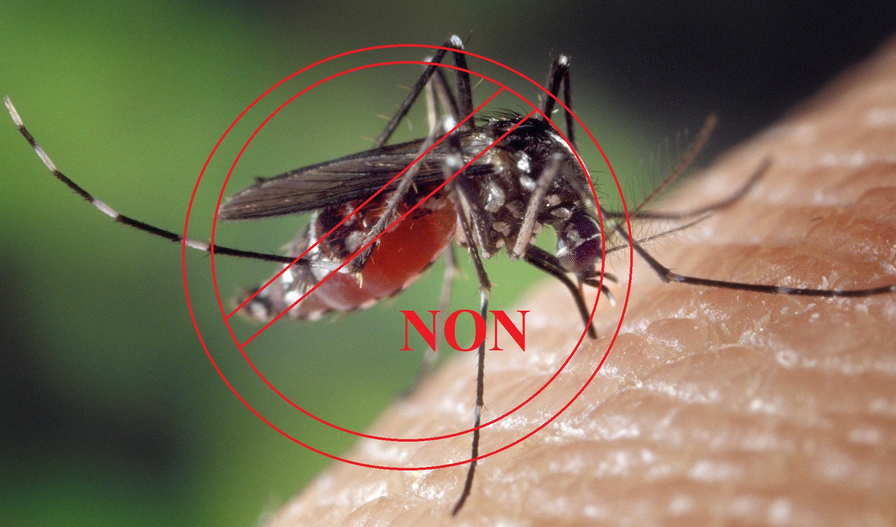 Aimant pour moustiquaire: La solution intelligente contre les insectes